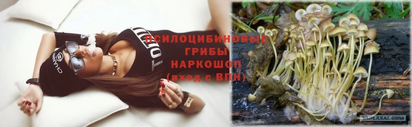 экстази Богданович